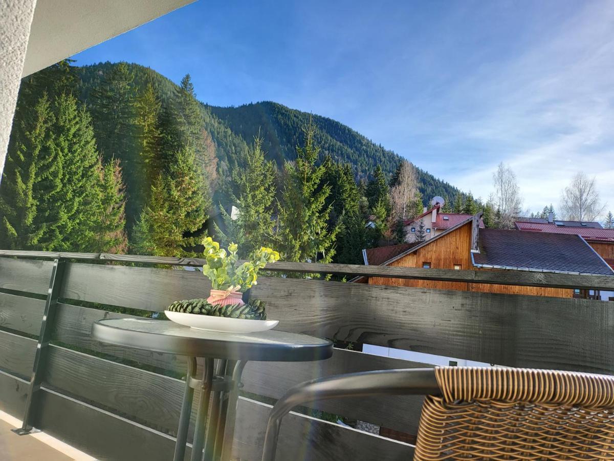 Dinvis Apartments Poiana Brasov Buitenkant foto
