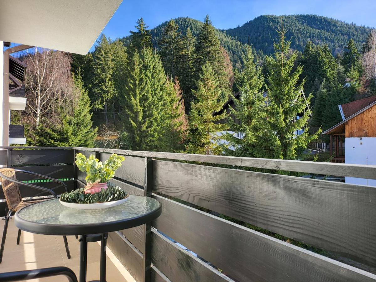 Dinvis Apartments Poiana Brasov Buitenkant foto