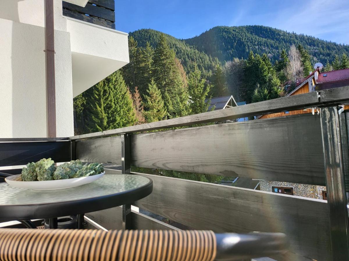 Dinvis Apartments Poiana Brasov Buitenkant foto